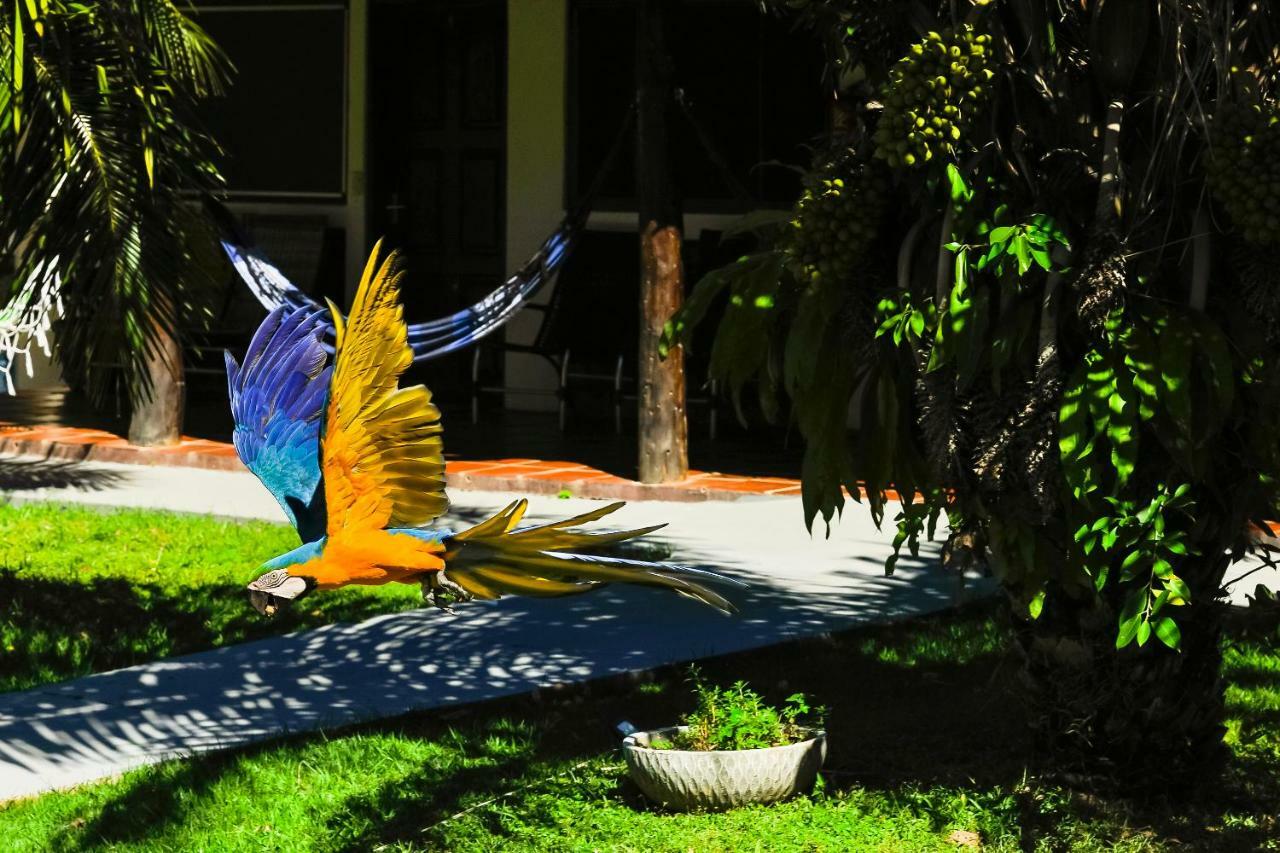 Piuval Bed & Breakfast