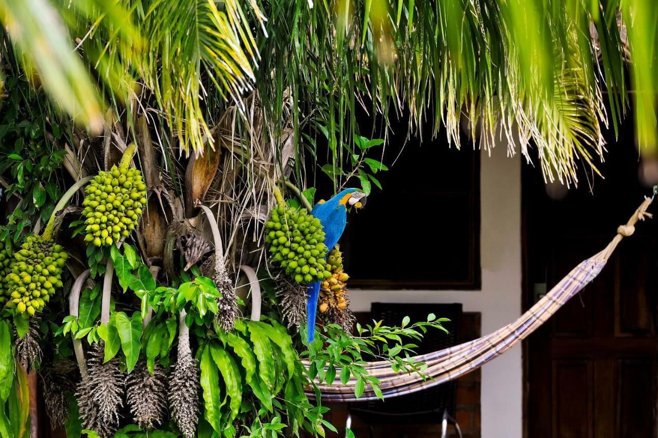 Bed & Breakfast Piuval Pocone